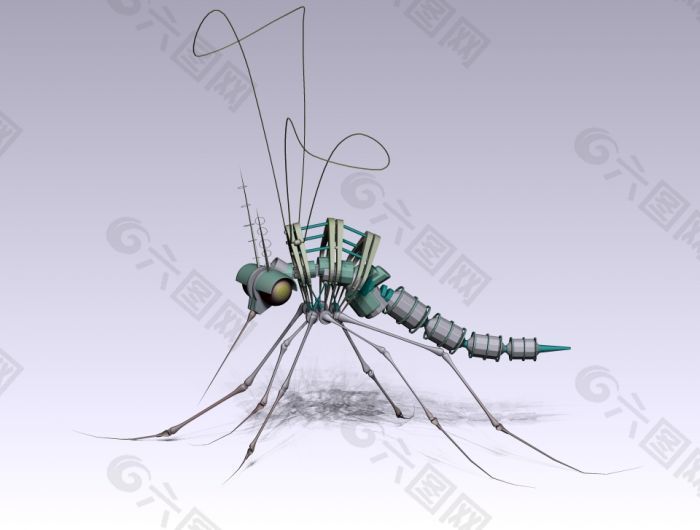 蚊子3D模型下载