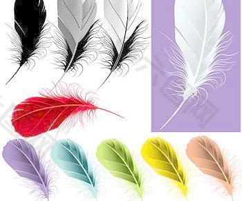 美丽多彩的羽毛向量