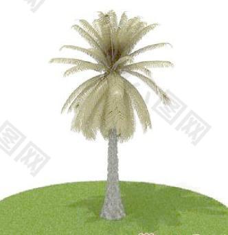 国外植物3D模型1-5