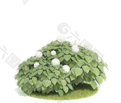 国外精品植物-树木-灌木3D模型4-5套1