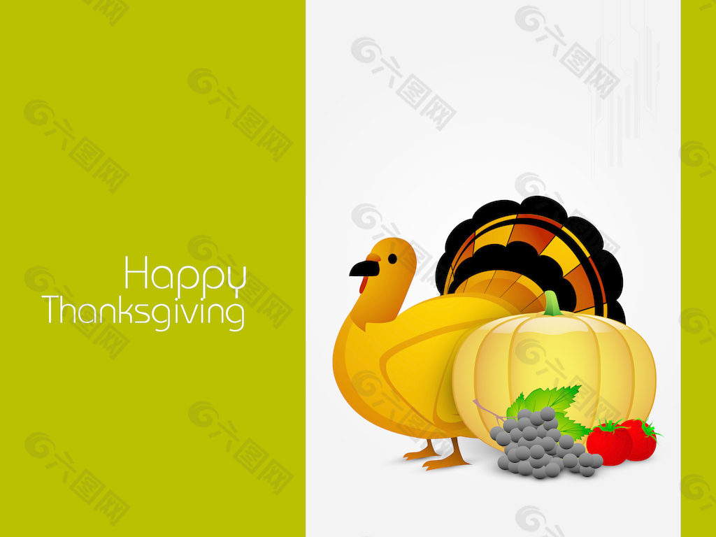 感恩节快乐的概念 美丽的土耳其鸟