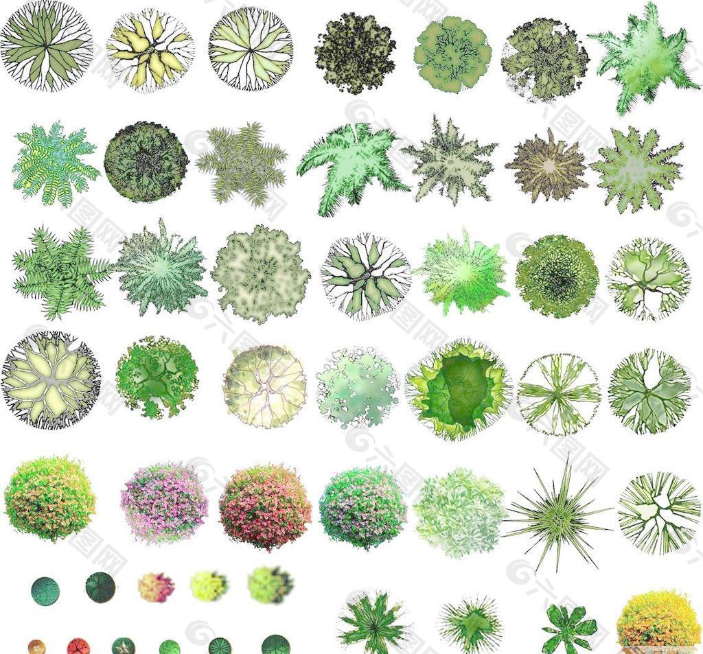 psd格式的彩色植物平面图