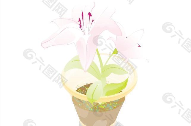 花梦梦花