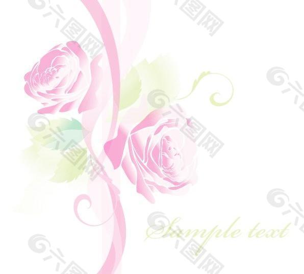 美丽的玫瑰，卡片矢量素材02