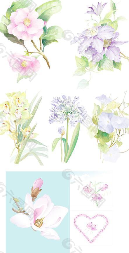 7优雅的水彩花卉矢量素材