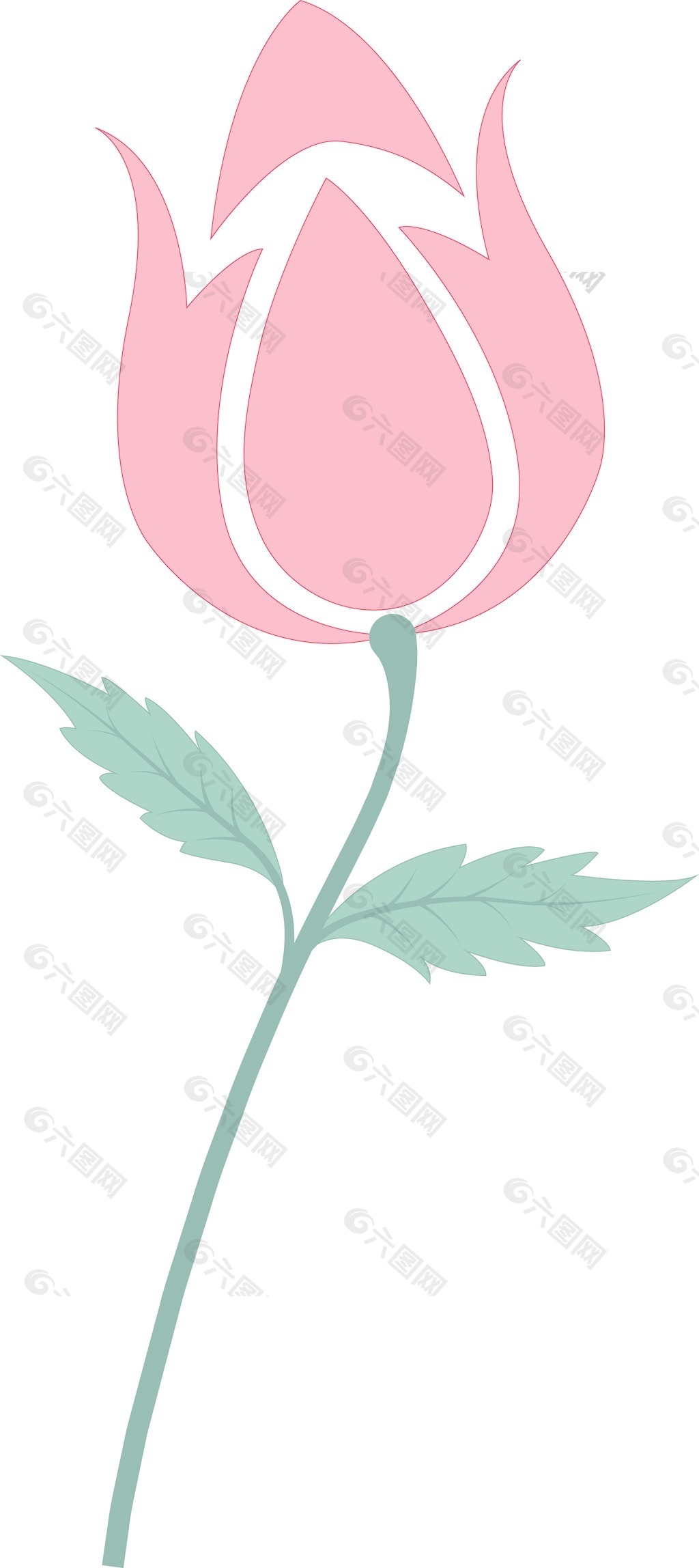 有机天然花
