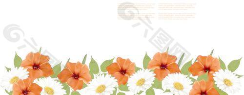 夏天的白色和橙色的花朵背景矢量01