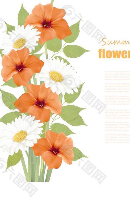 夏天的白色和橙色的花朵背景矢量02
