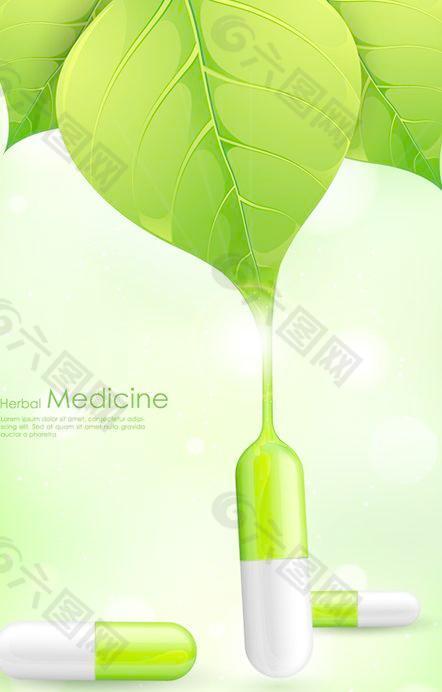 清新的草药医学背景矢量02