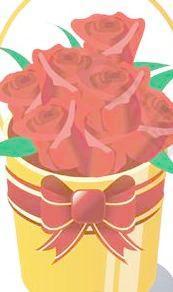 桶的玫瑰花