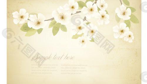 春天的白色花朵，老式的背景01