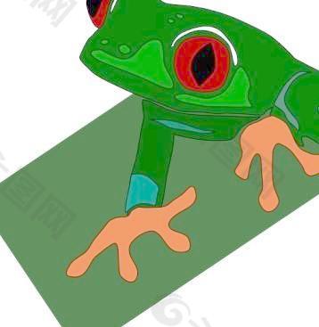 红眼树蛙的剪辑艺术