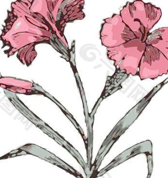 康乃馨花剪贴画