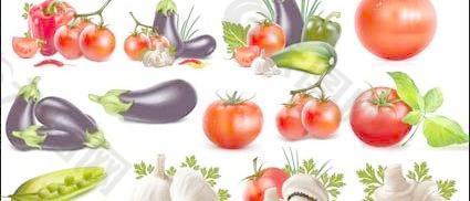 辣椒，茄子，西红柿，大蒜，豆，黄瓜，番茄