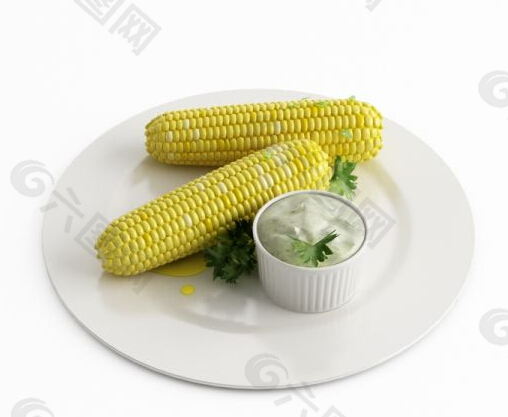 玉米模型