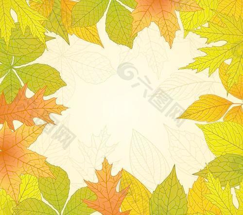 明亮的秋天的树叶矢量背景02
