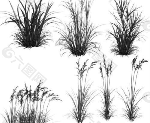 Grass Brushes   high resolution  下载 photoshop笔刷                                                 我爱ph