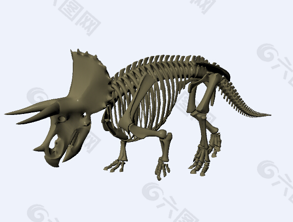 原始恐龙骨架模型
