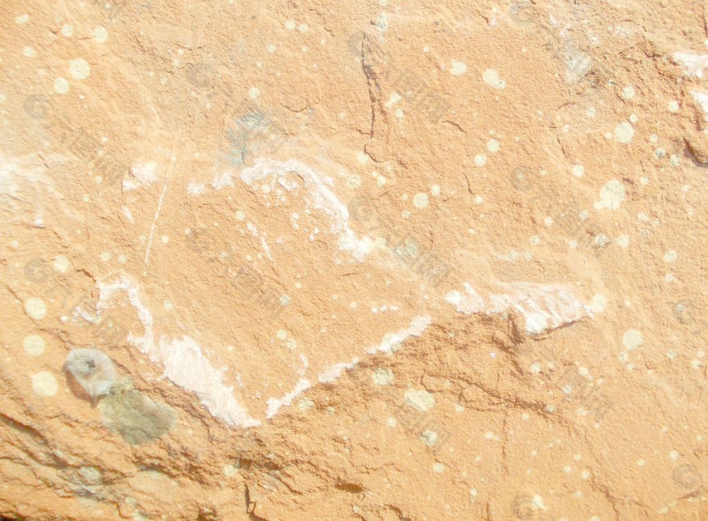 岩石表面纹理