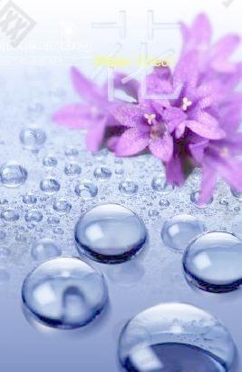 紫色花朵水滴 下载