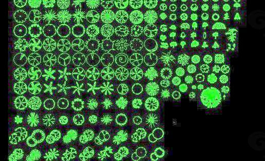 园林CAD常用植物图库图块素材