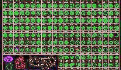 CAD常用植物图库大全