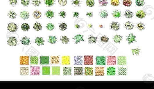 PS彩色平面植物（彩平图素材）