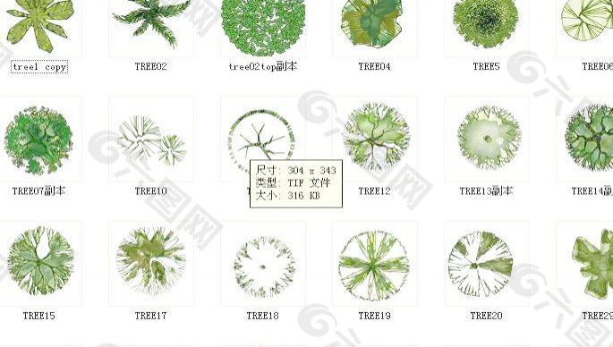 部分常用园林树木平面手绘搞