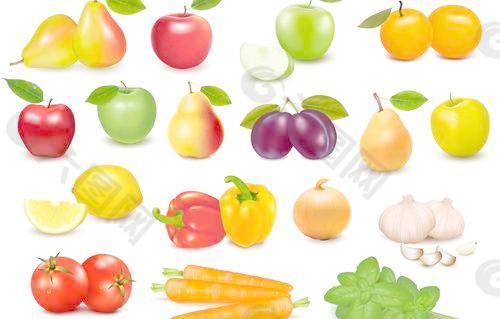 蔬菜和水果的设计元素矢量