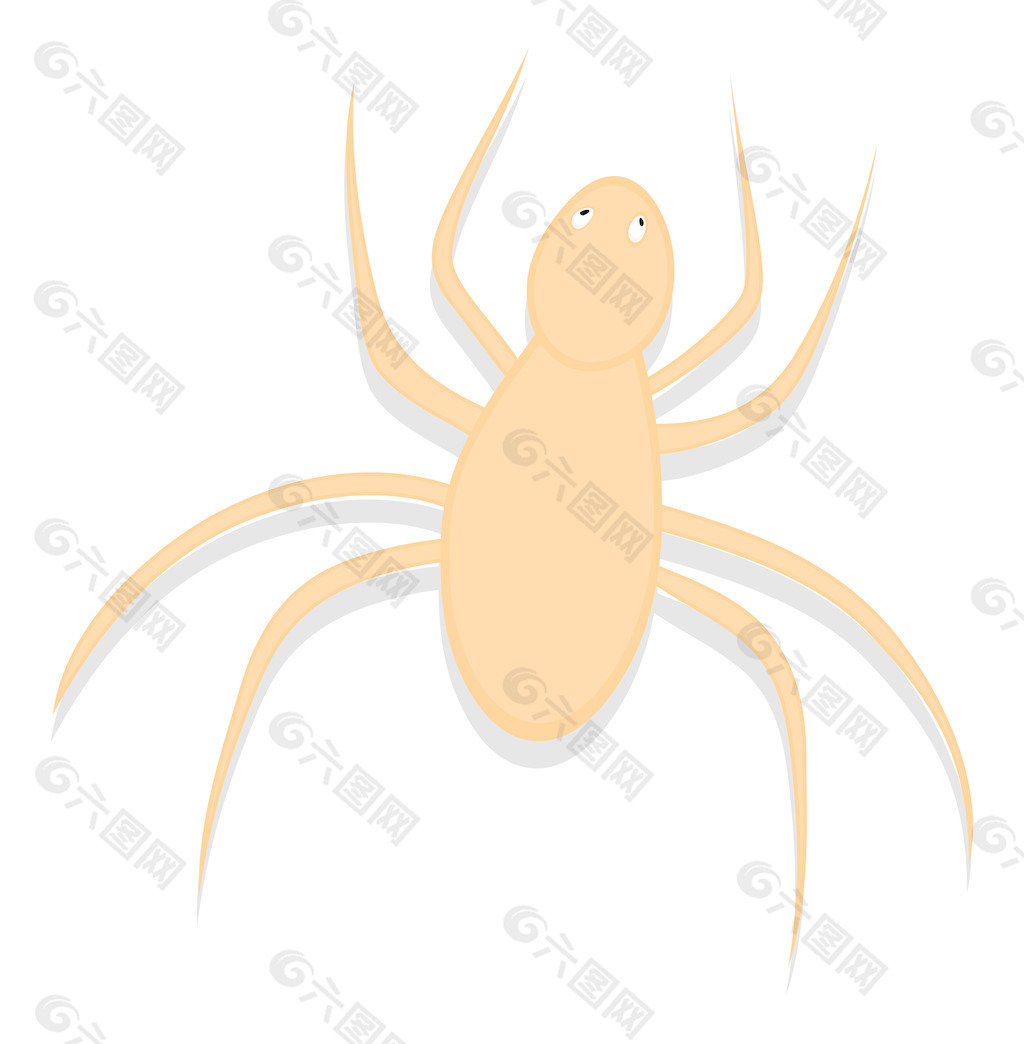 蜘蛛的绘画艺术