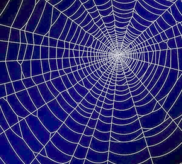 蜘蛛网的设计元素矢量图02