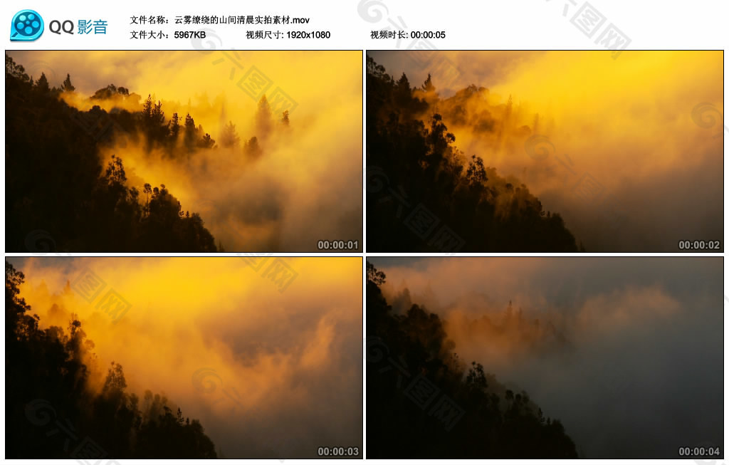 云雾缭绕的山间清晨实拍素材