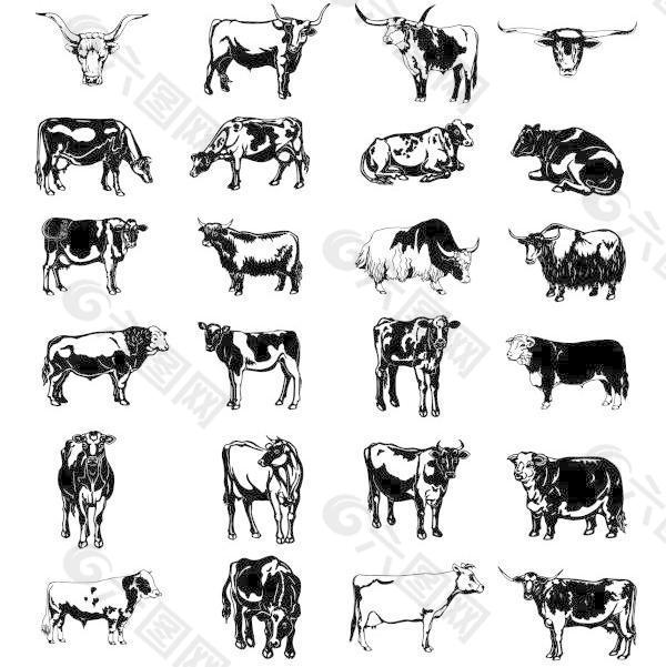 黑白画牛矢量图系列