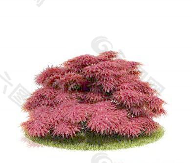 国外精品植物-树木-灌木3D模型7-5套2
