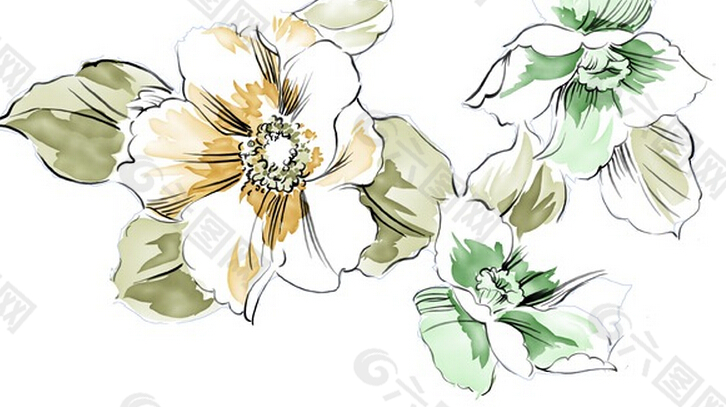 彩色花朵花瓣素描线稿上色插画文件