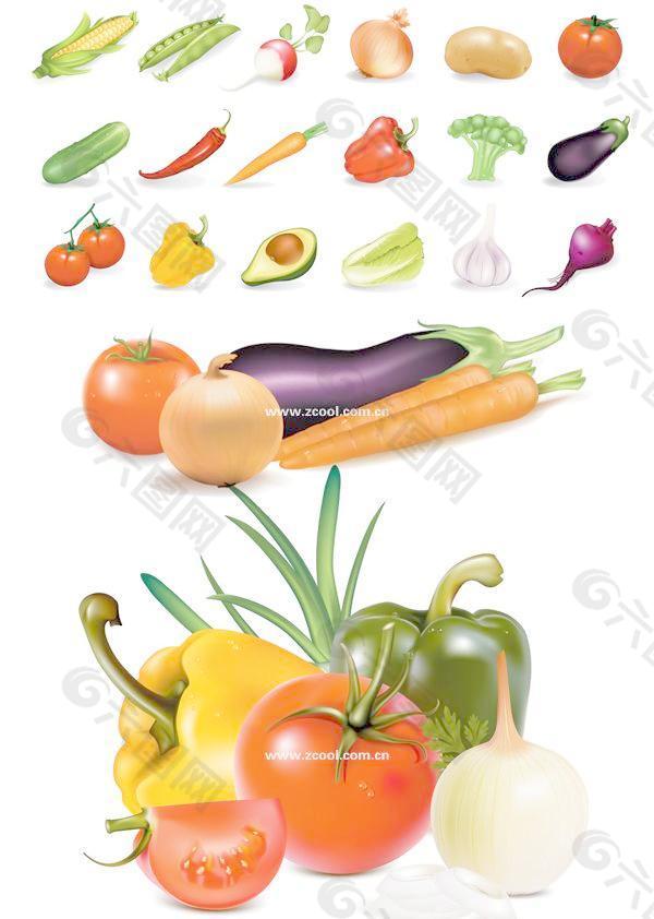 几种常见的几种蔬菜矢量素材