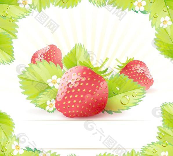 草莓主题背景矢量素材01