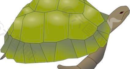 海龟的剪辑艺术