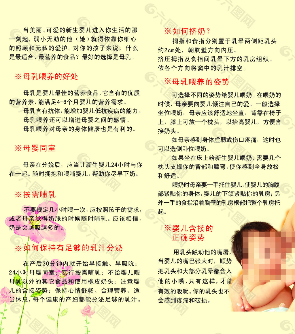 母婴两折页彩页宣传图片