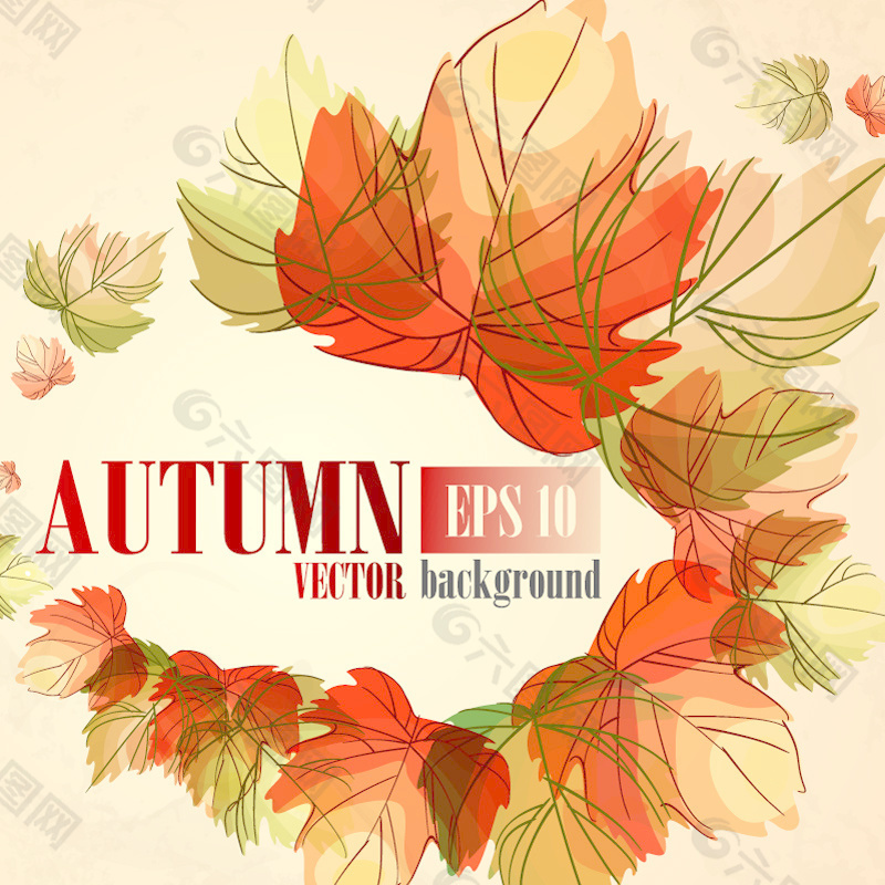 彩色的秋天的落叶背景矢量