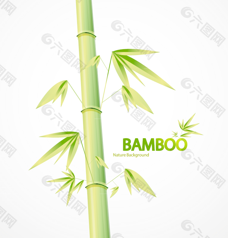 竹的自然背景