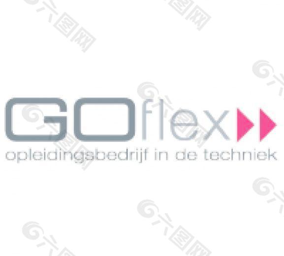 GoFlex年轻的专业公司