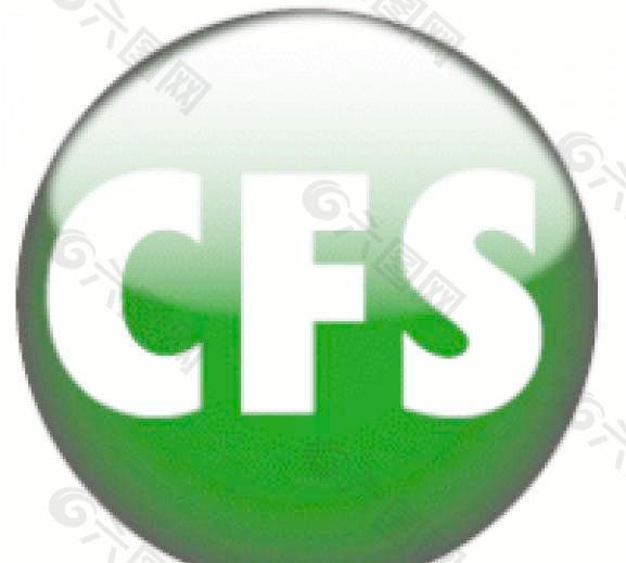 CFS税务软件