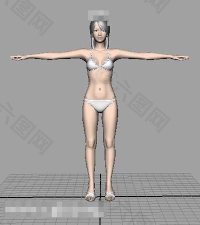淑女模型