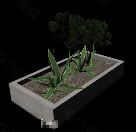 3D植物模型