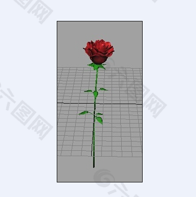玫瑰花模型下载