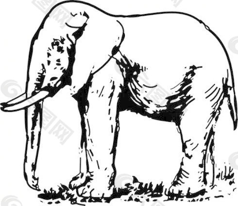 大象的剪辑艺术9