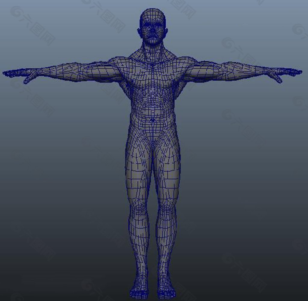 人体肌肉模型视频音效素材免费下载(图片编号:4494141)-六图网