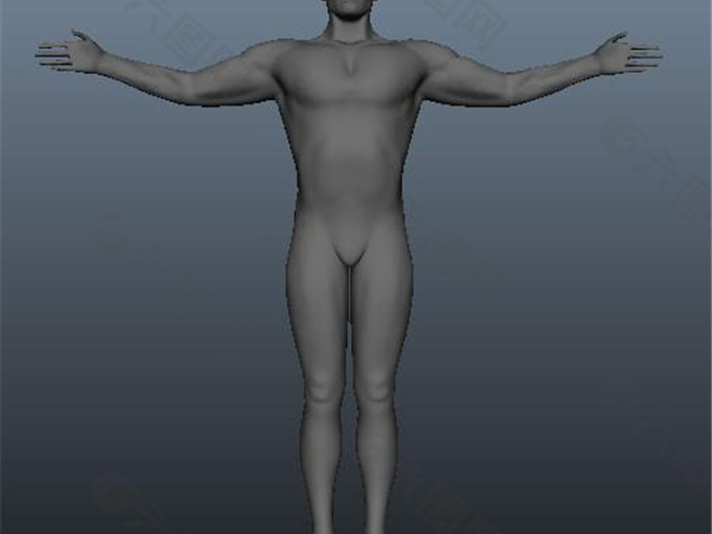 男性人体构造游戏模型