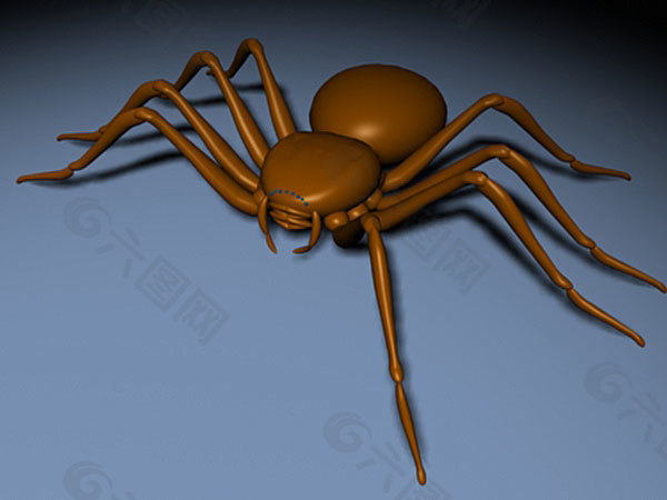 蜘蛛模型
